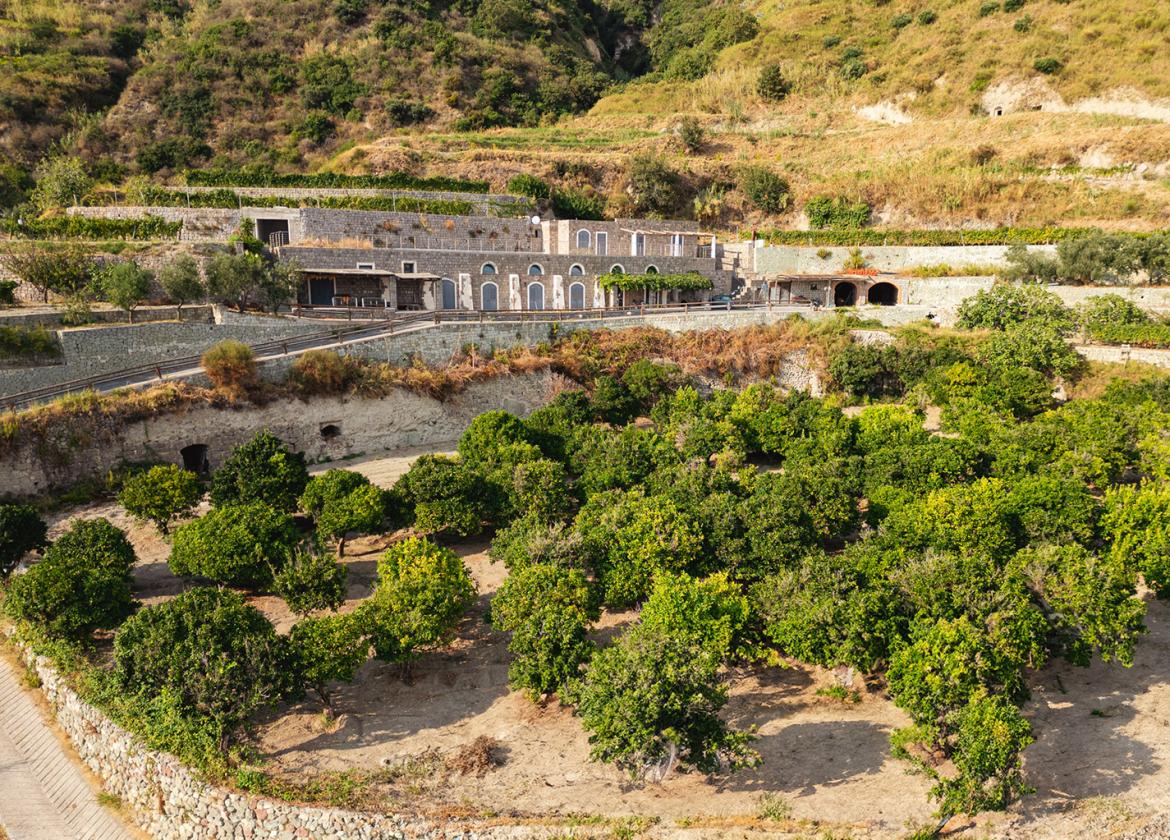puntachiarito it azienda-agricola-ruffano 014