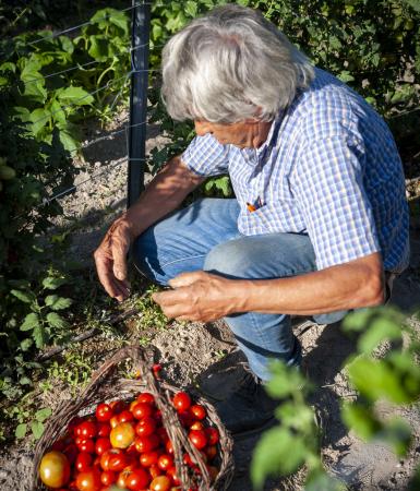 puntachiarito it offerta-terme-a-ischia-luglio-infrasettimanale 019